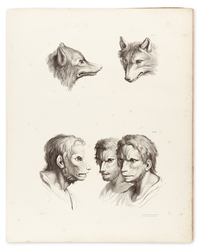 LE BRUN, CHARLES. A Series of Lithographic Drawings Illustrative of the Relation Between the Human Physiognomy
